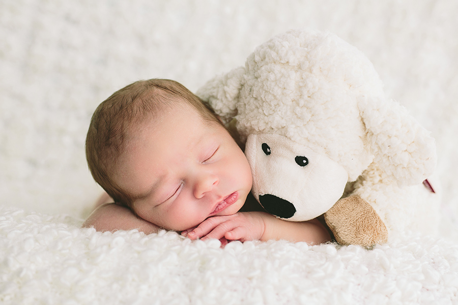 Cornelia Lietz Photography